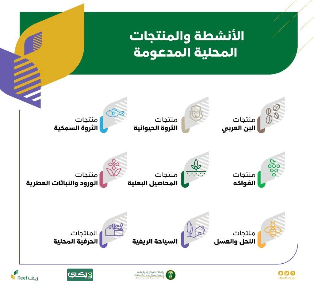 الأنشطة المدعومة في برنامج ريف