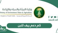 كم دعم ريف للبن 1447 وشروط الحصول عليه