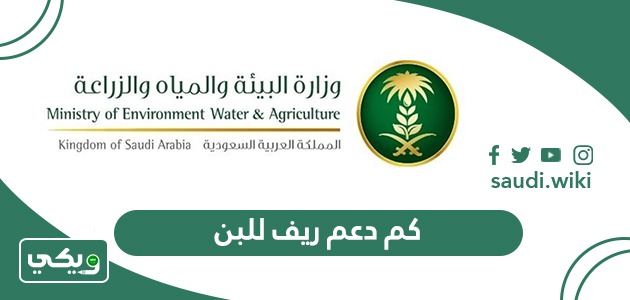 كم دعم ريف للبن 1447 وشروط الحصول عليه