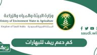 كم دعم ريف للبهارات 1447 وشروط الاستحقاق