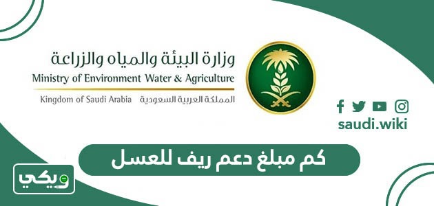كم مبلغ دعم ريف للعسل 1447 وما هي شروط الاستحقاق للدعم