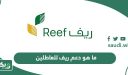 ما هو دعم ريف للعاطلين عن العمل