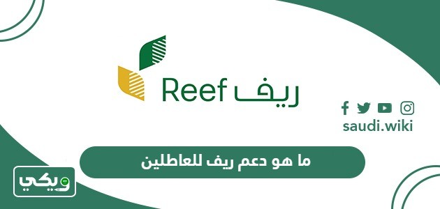ما هو دعم ريف للعاطلين
