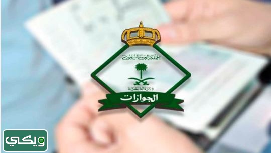 الجنسيات المعفاة من رسوم المرافقين