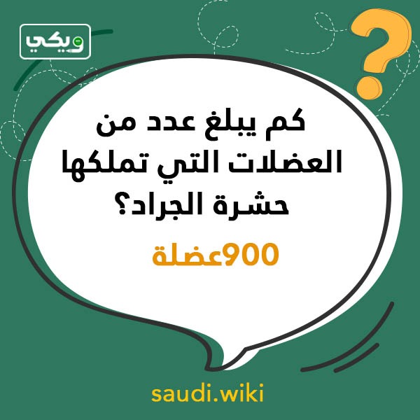 اسئلة عامة صعبة بالصور