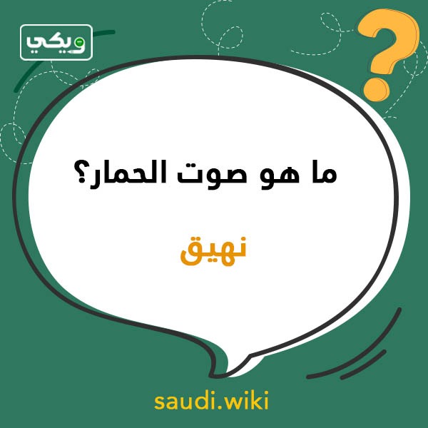 اسئلة عامة للمسابقات بالصور