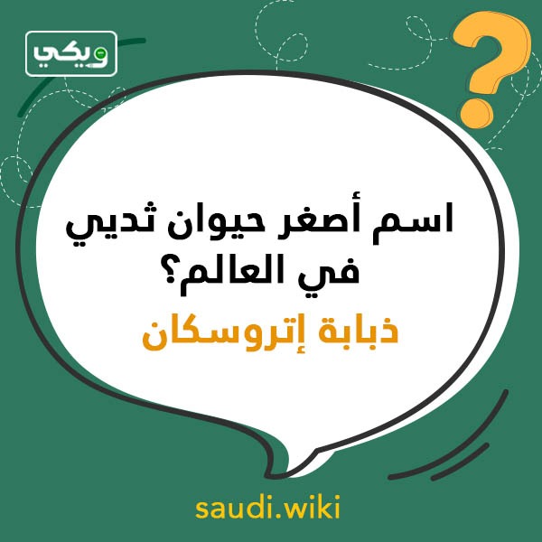 اسئلة عامة ثقافية بالصور