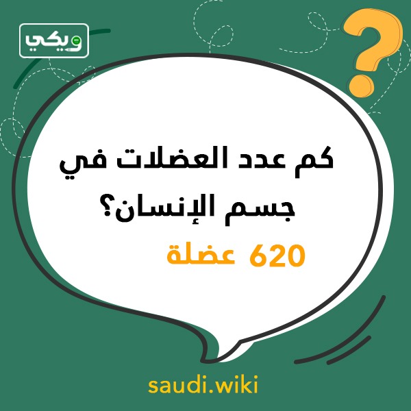 اسئلة عامة واجابتها بالصور