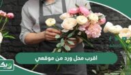 اقرب محل ورد من موقعي الحالي الآن