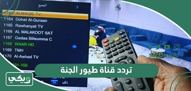 تردد قناة طيور الجنة الجديد 2026 على جميع الأقمار