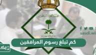 كم تبلغ رسوم المرافقين والتابعين في السعودية