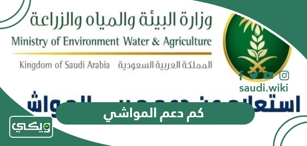 كم دعم المواشي لرأس وطريقة يحسب مقدار الدعم