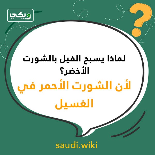 اسئلة عامة مضحكة بالصور
