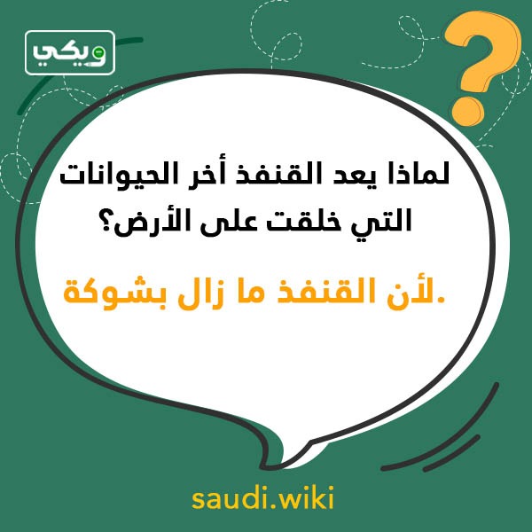اسئلة مضحكة سهلة مع أجوبتها