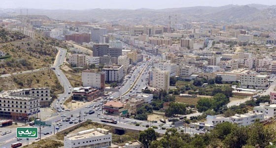نبذة عن قلوة