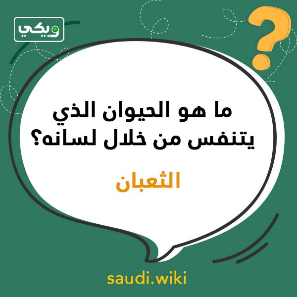أسئلة عامة للاطفال مع الاجوبة بالصور