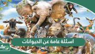 اسئلة عامة عن الحيوانات واجابتها 2026