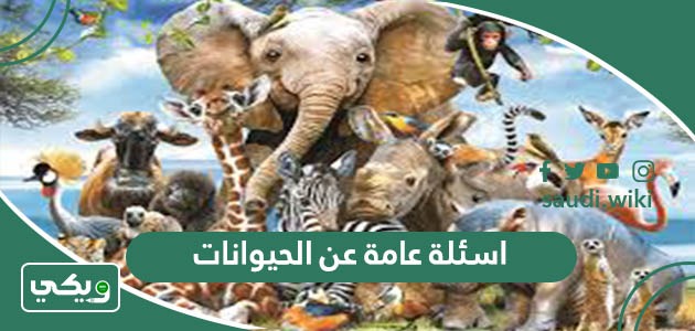 اسئلة عامة عن الحيوانات واجابتها 2026