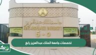 تخصصات جامعة الملك عبدالعزيز رابغ 1447