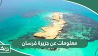 معلومات عن جزيرة فرسان