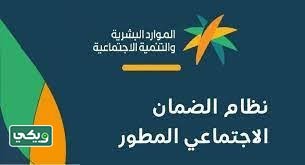 البرامج المساندة التي لا تؤثر في الضمان المطور