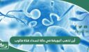 أين تذهب البويضة في حالة انسداد قناة فالوب