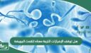 هل توقف الإفرازات اللزجة معناه تلقحت البويضة
