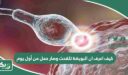 كيف اعرف ان البويضة تلقحت وصار حمل من أول يوم