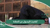 أحاديث الرسول عن الصلاة