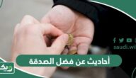 أحاديث عن فضل الصدقة