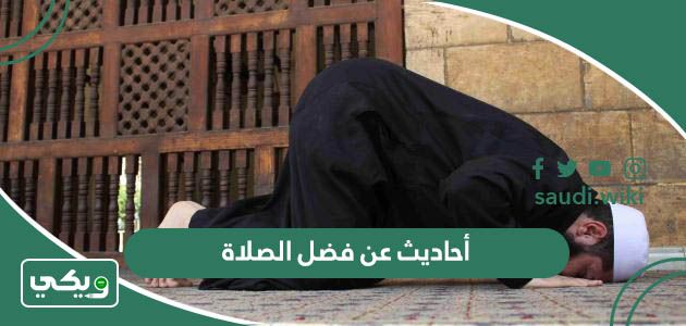 أحاديث عن فضل الصلاة