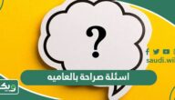 اسئلة صراحة بالعاميه “مسلية وممتعة”