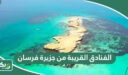 ما هي الفنادق القريبة من جزيرة فرسان