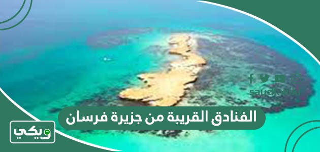 ما هي الفنادق القريبة من جزيرة فرسان
