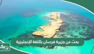 بحث عن جزيرة فرسان باللغة الإنجليزية