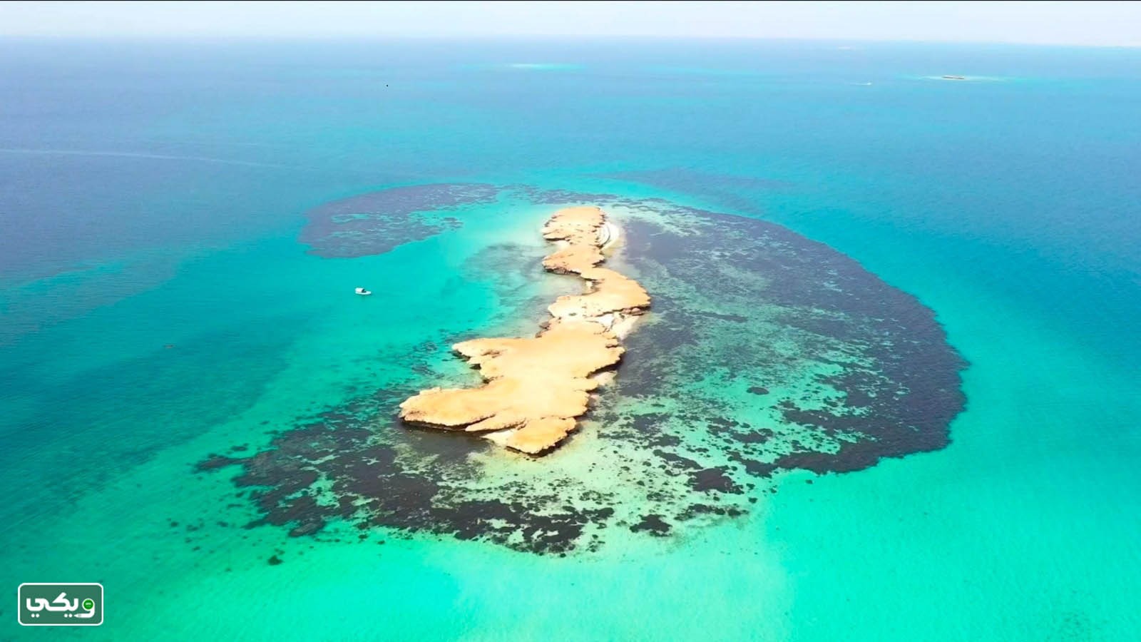 صور جزيرة فرسان