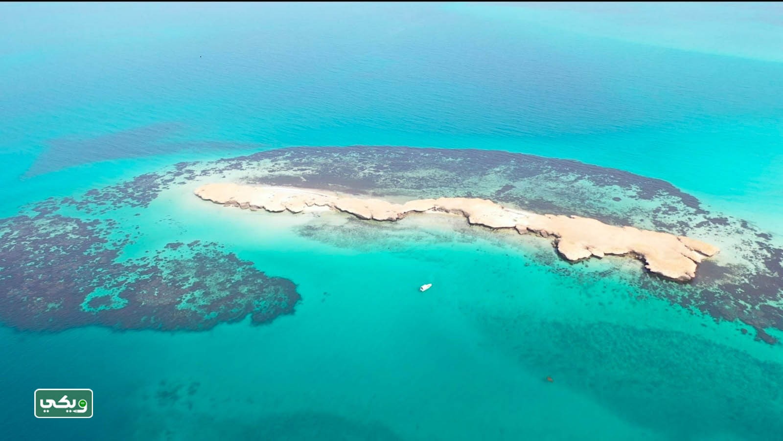 عدد جزر جزيرة فرسان