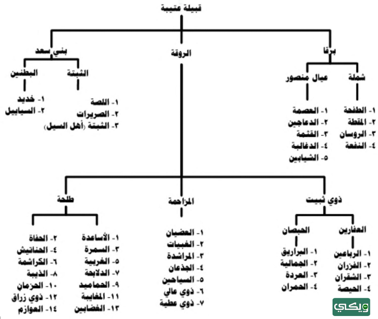 قبيلة عتيبة