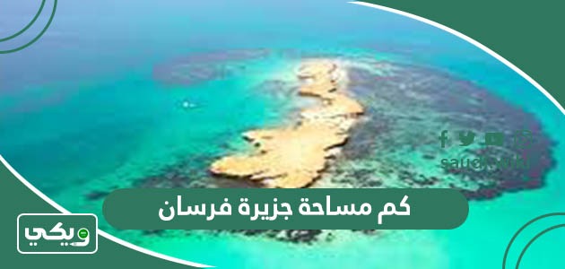 كم مساحة جزيرة فرسان