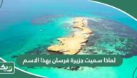 لماذا سميت جزيرة فرسان بهذا الاسم
