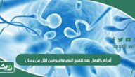 أعراض الحمل بعد تلقيح البويضة بيومين لكل من يسال