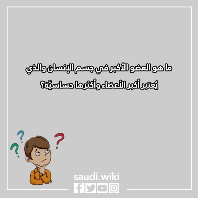 اسئلة ثقافية للاطفال بالصور