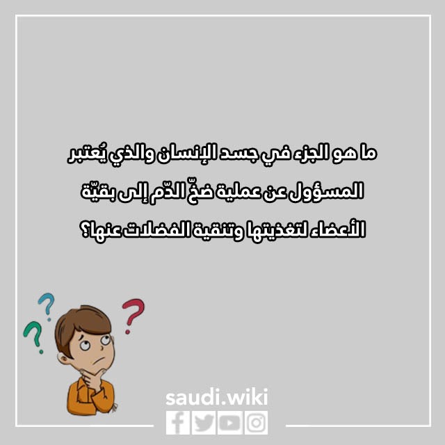 اسئلة ثقافية للاطفال بالصور