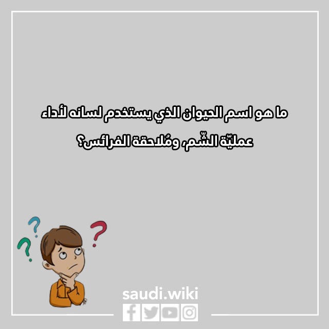 اسئلة ثقافية للاطفال عن الحيوانات
