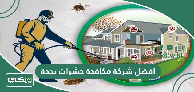 افضل 20 شركة مكافحة حشرات بجدة 2025 عن تجربة