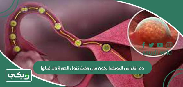 دم انغراس البويضة يكون في وقت نزول الدورة ولا قبلها