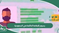 كم رسوم الإقامة الدائمة في السعودية 2026 حسب النظام الجديد