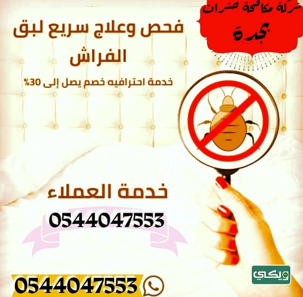 شركة الأوائل