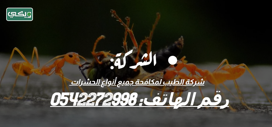 شركة الطيب