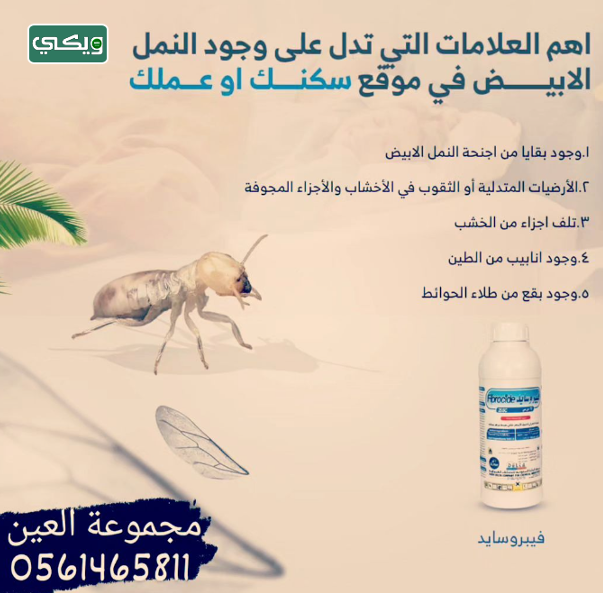 شركة العين